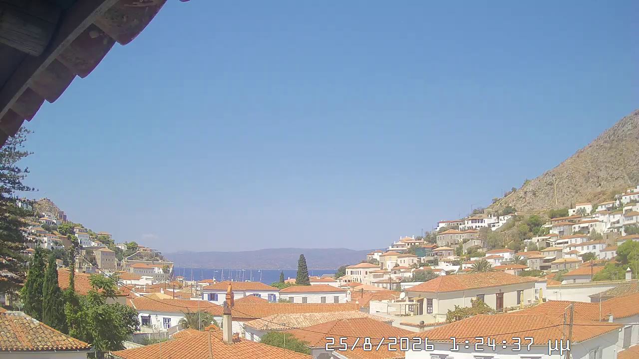Live webcam